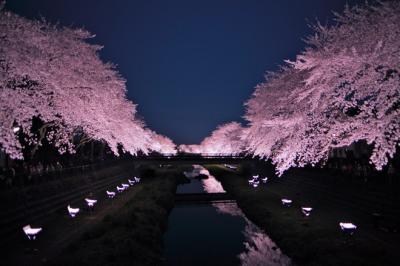 Những bức ảnh khiến bạn muốn tới Nhật ngay lập tức